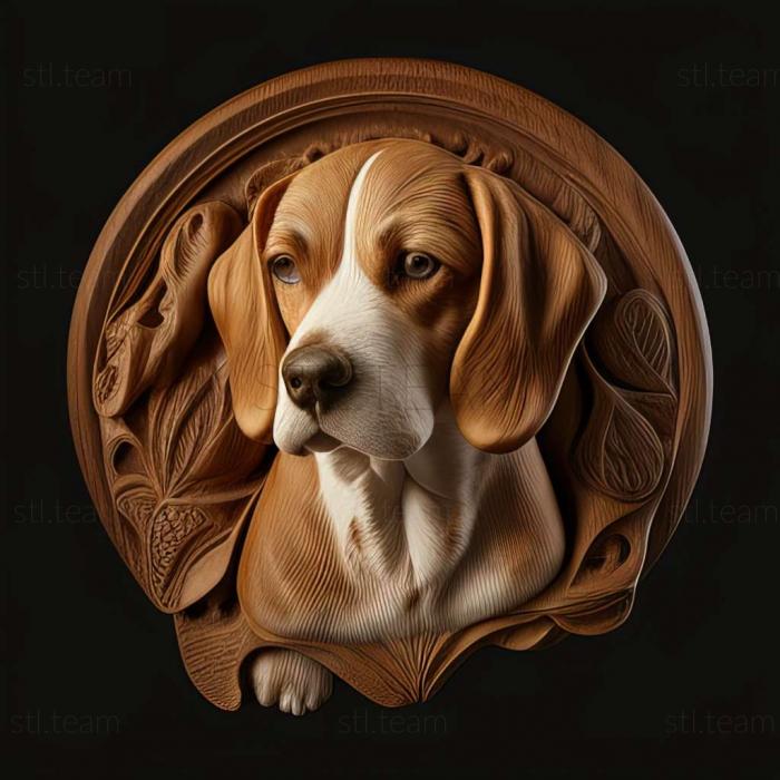 Animals Beagle dog